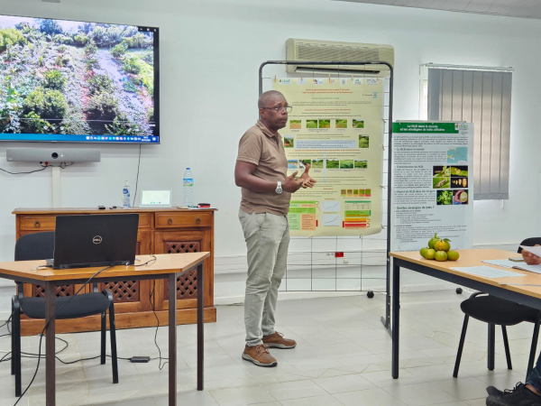 Séminaire Agrumiculture - présentation de posters. © I Jean-Baptiste, Chambre d'Agriculture